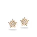 gold stud earrings