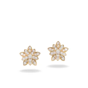 gold stud earrings