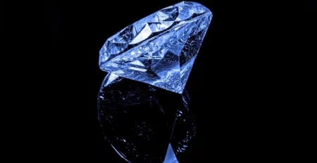 pfi-Top-Gems-in-Singapore-Never-miss-else-you-will-regret-16112023
